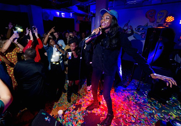 little simz net worth - Article 1